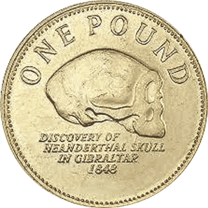 One Pound Skull Of Gibraltar